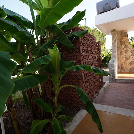 Villetta Mare "Gelsomino Bianco" Fontane Bianche Kültér fotó